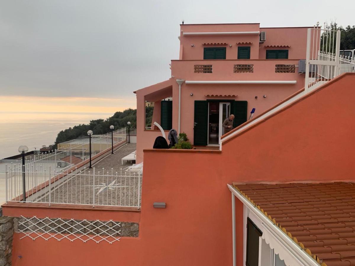 Still House San Nicola Arcella Exterior foto